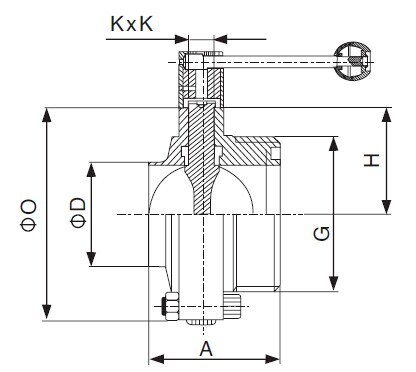 DIN Welded x Threaded Butterfly Valve