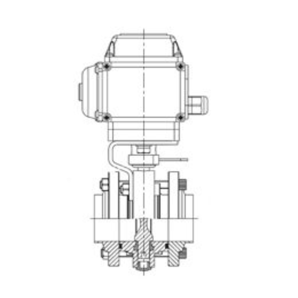 Electric Actuated Sanitary Flanged Butterfly Valves